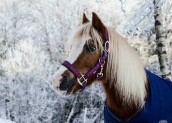 Афиша выходного дня: куда сходить в Самаре с 10 по 12 февраля