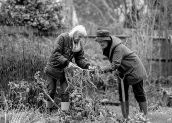 В Самарской области дачники культивировали на участке коноплю