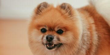 Афиша выходного дня: куда сходить в Самаре с 17 по 19 февраля