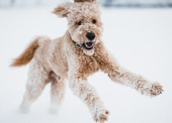 В Самарской области в ночь на 9 февраля похолодает до – 22 градусов