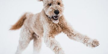 В Самарской области в ночь на 9 февраля похолодает до – 22 градусов