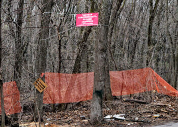 «Лагуна» выбивает из самарского бюджета миллиарды на сомнительных основаниях