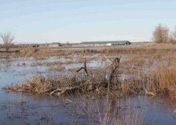 Паводок в Самарской области уже потребовал спуска лодок на воду