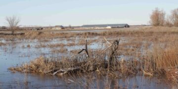 Паводок в Самарской области уже потребовал спуска лодок на воду