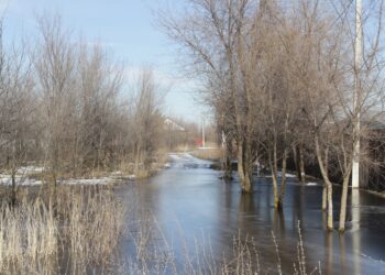 Паводок в Самарской области уже потребовал спуска лодок на воду