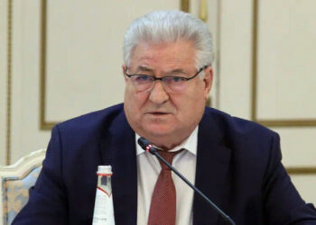 Спикер губдумы рассказал коллегам по ПФО о системе оказания бесплатной юридической помощи в Самарской области