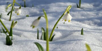 В Самарской области 10 марта ожидается опасно сильный ветер