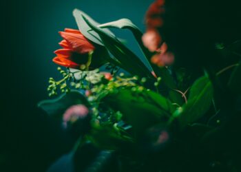 В России цены на букеты цветов к 8 марта вырастут почти до 3 тыс. рублей