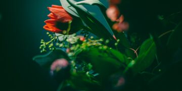 В России цены на букеты цветов к 8 марта вырастут почти до 3 тыс. рублей