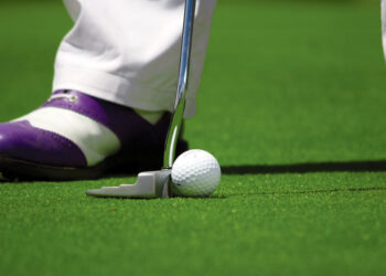 Заработать на гольф-курорте в Кинельском районе теперь попытаются непубличные тольяттинские инвесторы