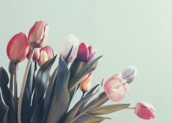 Праздничная афиша: куда сходить в Самаре с 7 по 8 марта