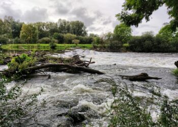 Самарскую область в 2023 году паводком затопит дважды