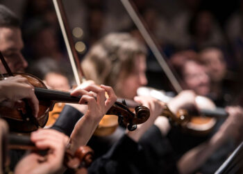 Артисты оркестра Самарской оперы протестуют против отстранения их от работы за отказ от медосмотра