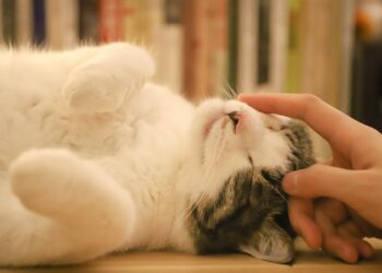 Афиша выходного дня: куда сходить в Самаре с 24 по 26 марта