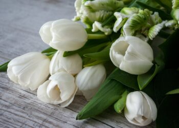 Мужчины в России чаще всего поздравляют с 8 марта своих мам