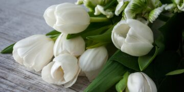 Мужчины в России чаще всего поздравляют с 8 марта своих мам