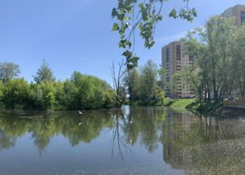 В самарском микрорайоне «Волгарь» расчистят систему озер «Дубовый Ерик»