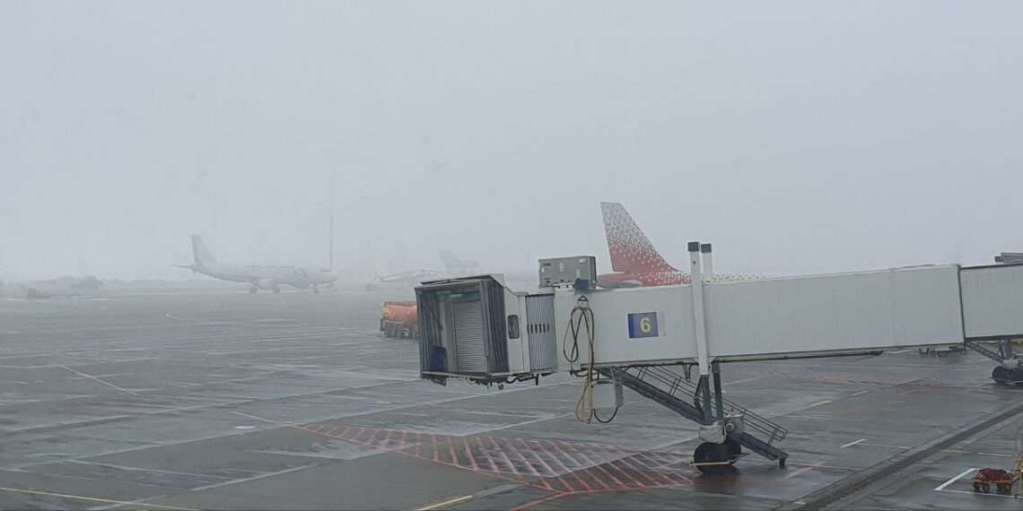 Фото: Марина Ярцева