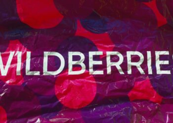 Минтруд: «Wildberries должен соответствовать традиционным трудовым отношениям»