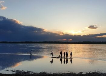 ТОП-5 новостей недели: Общество