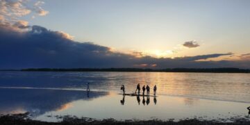 ТОП-5 новостей недели: Общество