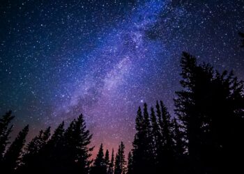 Афиша выходного дня: куда сходить в Самаре с 31 марта по 2 апреля