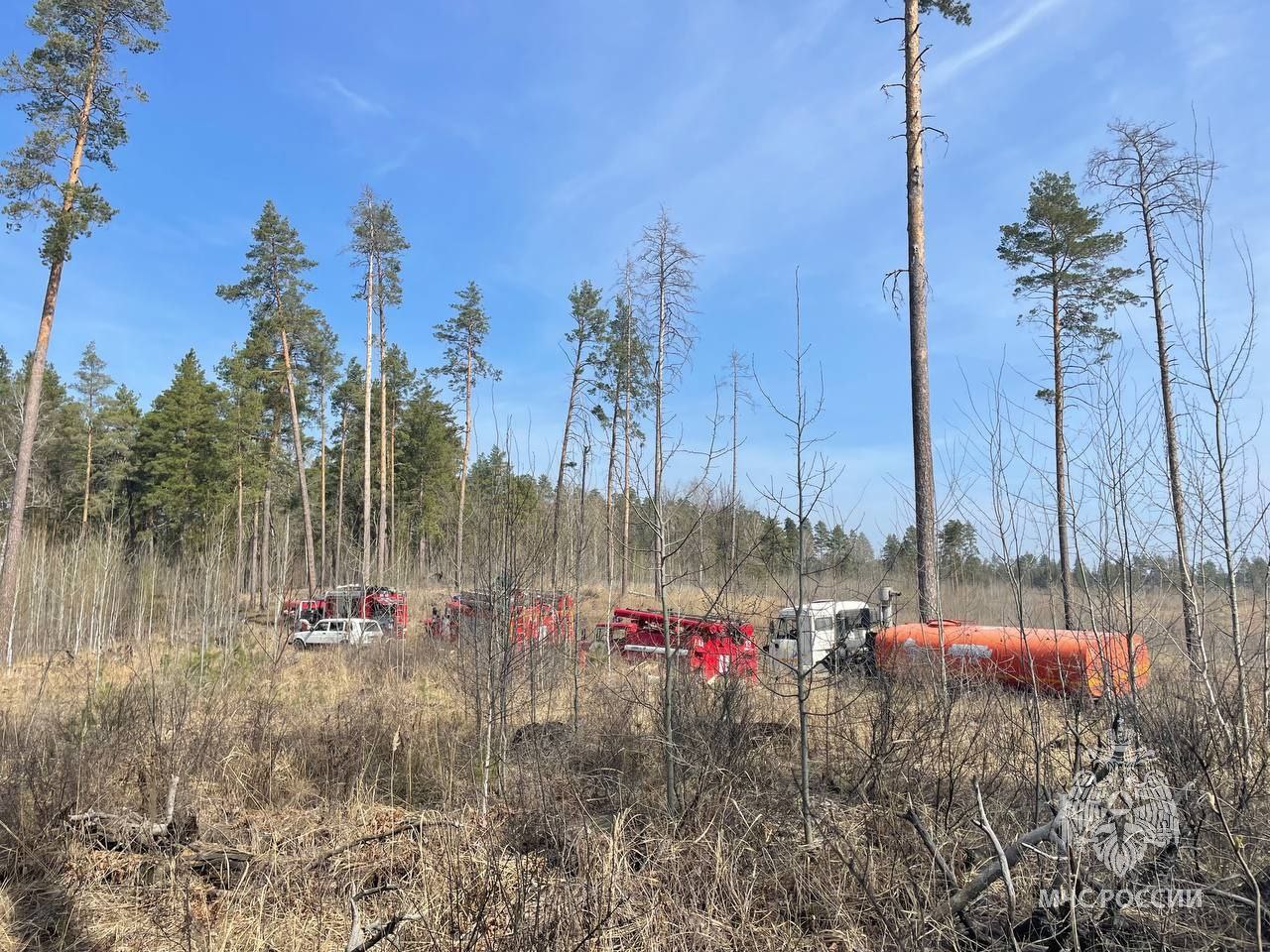 В Тольятти вновь загорелся городской лес - oboz.info