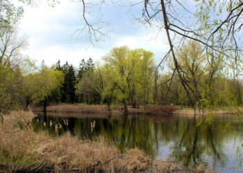 Газовики провели субботник в самарском ботаническом саду