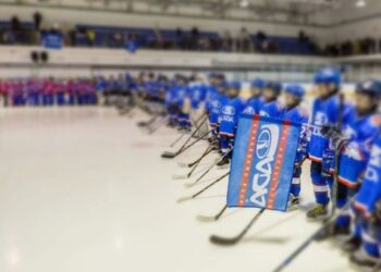 В какой лиге сыграет хоккейная «Лада» в следующем сезоне, станет известно через две недели