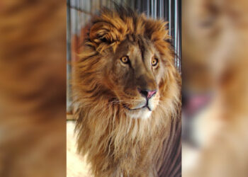 ТОП-5 новостей недели: Общество