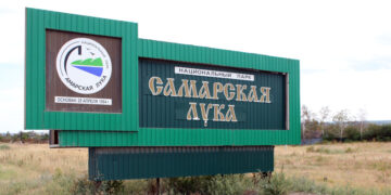 Фото: Игорь Горшков