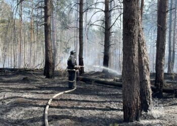 В Тольятти вновь загорелся городской лес
