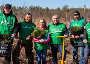 ГК «ЭкоВоз» собрала более 700 человек на посадку леса в Тольятти