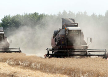 Среди предпринимателей растет интерес к услугам факторинга и новым кредитным продуктам для МСБ