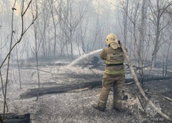 В МЧС рассказали, в каких районах Самарской области было больше всего пожаров