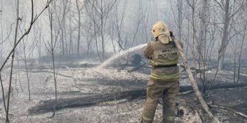 В МЧС рассказали, в каких районах Самарской области было больше всего пожаров