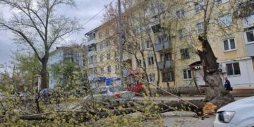 В Самаре ураган расшвырял огромные деревья и остановки