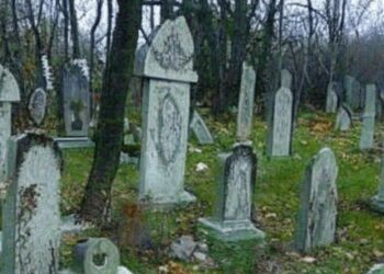 В Самарской области обеспокоились состоянием заброшенного языческого кладбища