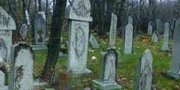 В Самарской области обеспокоились состоянием заброшенного языческого кладбища