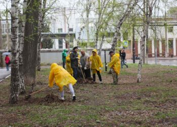 Глава Самары Елена Лапушкина проверила санитарное содержание Заводского шоссе