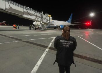 В самарском аэропорту Курумоч самолет при посадке столкнулся с птицами