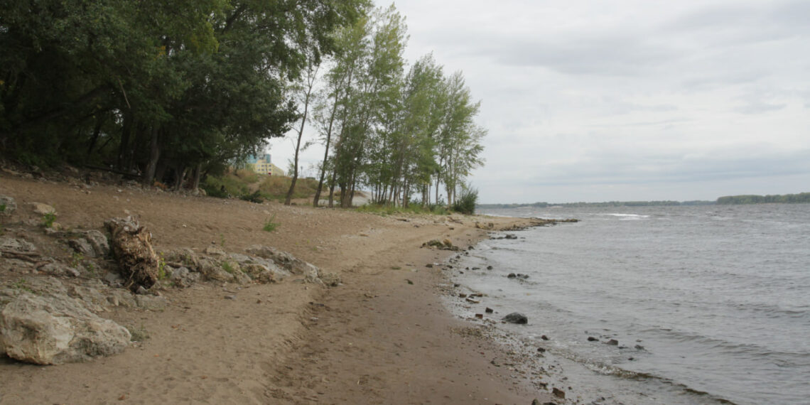 Берег Волги на территории Силикатного завода. Фото: Игорь Горшков