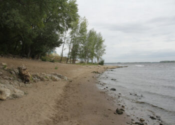 Определены правила и перспективы застройки берега Волги в центре Самары
