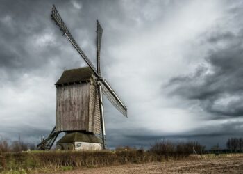 50 самых прибыльных агрокомпаний Самарской области 2023