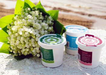 В Самаре появилось еще одно мороженое