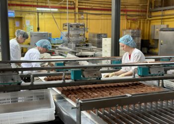 Самарская область вошла в число регионов-лидеров ПФО по числу субъектов МСП