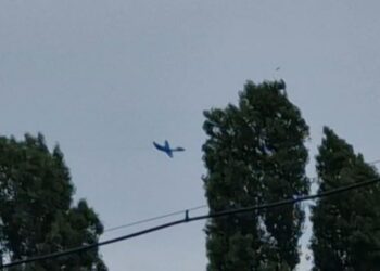 Самарцев напугал летательный аппарат в небе над областной столицей 