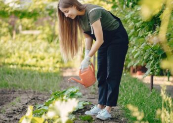 Группа ВТБ: россияне увеличили спрос на товары для дачи на 7%