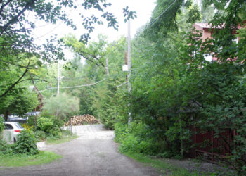 Новые землевладельцы в самарском дачном массиве пытаются приватизировать проезд и «отжать» часть сопредельных участков