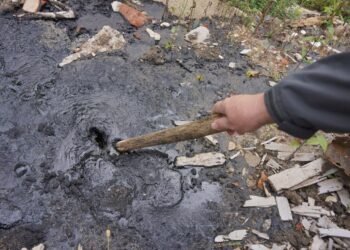 Ликвидация нефтяной угрозы в лесной зоне Новокуйбышевска подорожала в 12 раз — до 83 млн